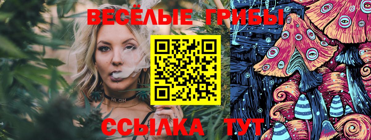 Псилоцибиновые грибы MAGIC MUSHROOMS Анжеро-Судженск