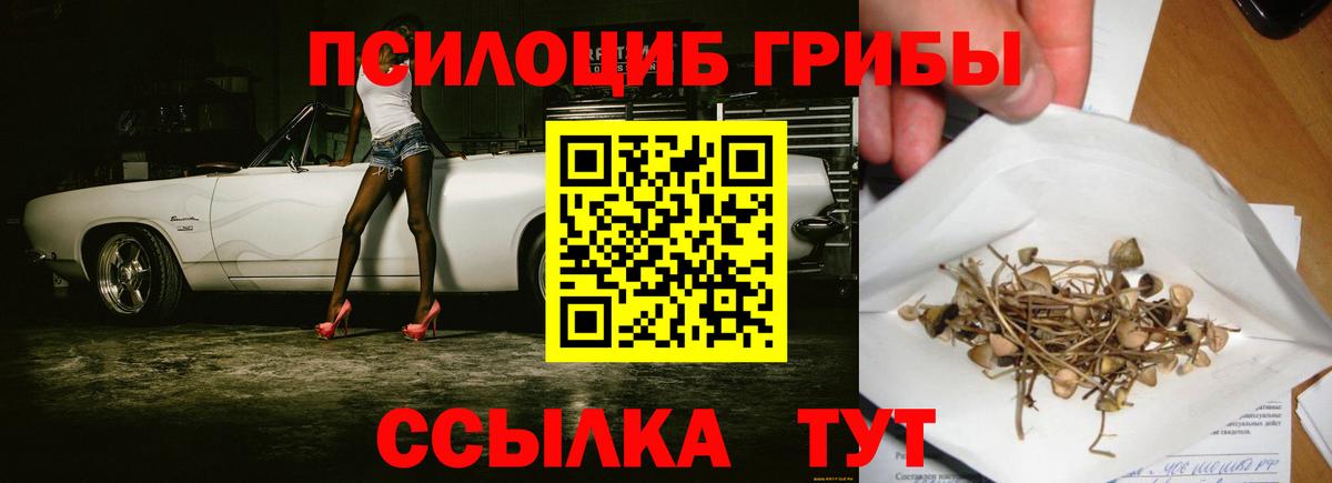 Галлюциногенные грибы Magic Shrooms  Вход с VPN  Анжеро-Судженск 